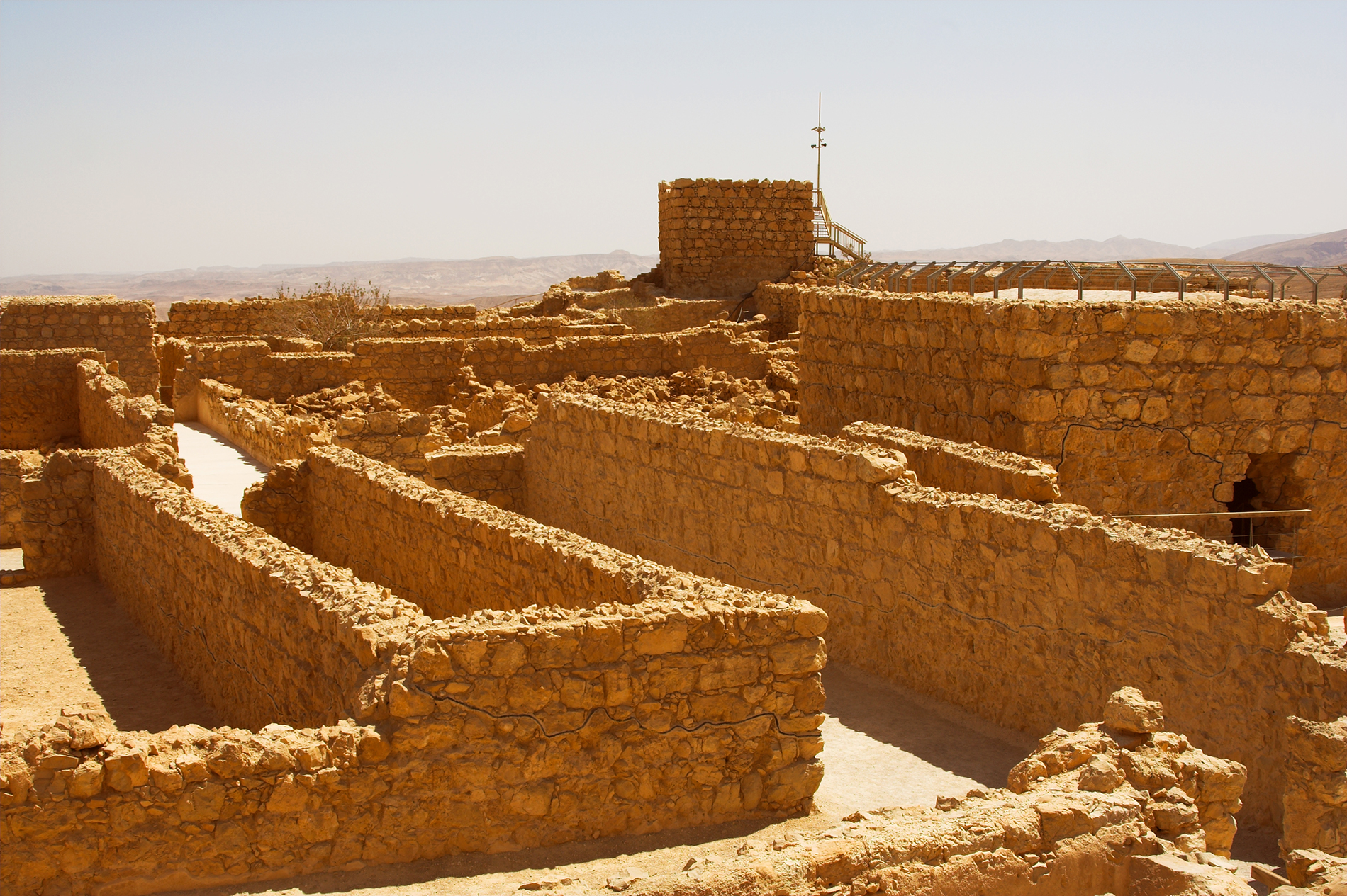 masada tours