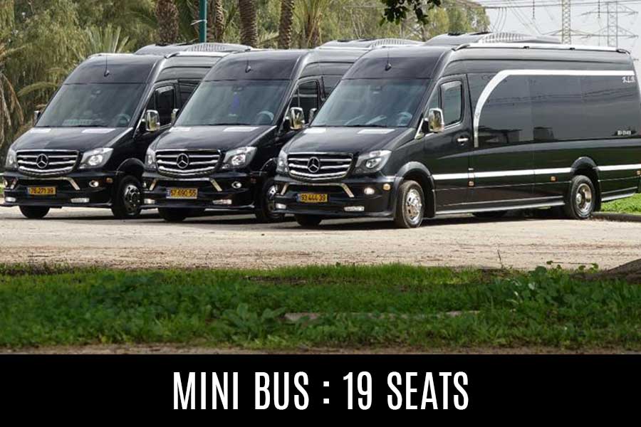 mercedes mini bus 19 seats